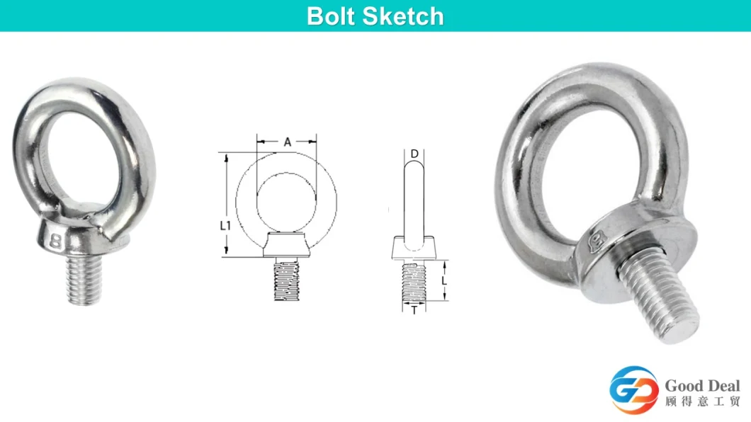 Stainless Carbon Steel Copper Aluminum Alloy Titanium Eye Bolt and Nut